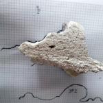 Baustelle0059